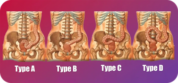 picture of anal sex level