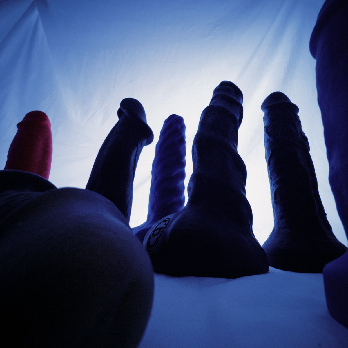 Best Selling Sex Toys