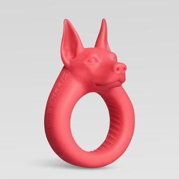 O-Ring 03 – One Size Main Product Image