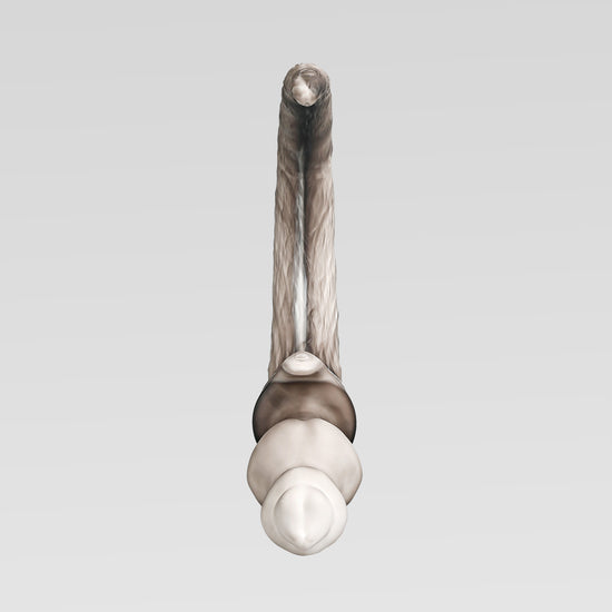 PUP WOOF TAIL PLUG tail butt plug detail image showing hollow channel, base, and tunnel plug details